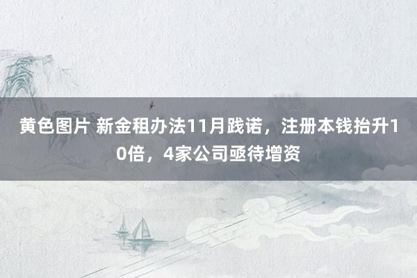 黄色图片 新金租办法11月践诺，注册本钱抬升10倍，4家公司亟待增资