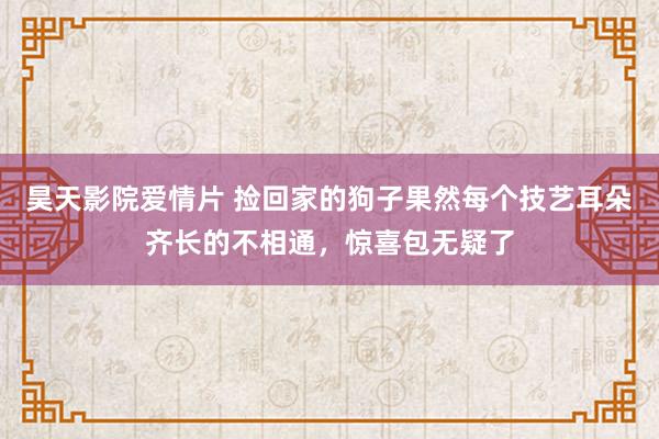 昊天影院爱情片 捡回家的狗子果然每个技艺耳朵齐长的不相通，惊喜包无疑了