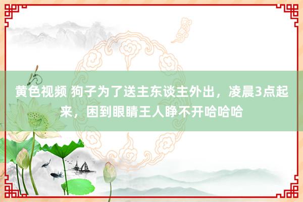 黄色视频 狗子为了送主东谈主外出，凌晨3点起来，困到眼睛王人睁不开哈哈哈
