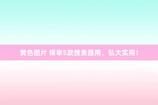 黄色图片 保举5款搜索器用，弘大实用！