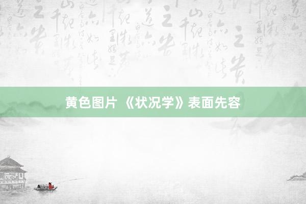 黄色图片 《状况学》表面先容