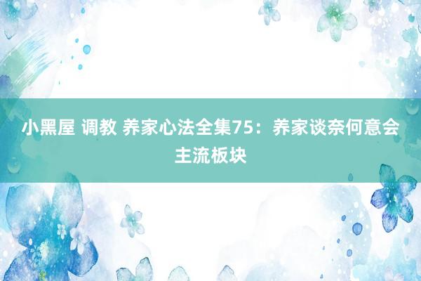 小黑屋 调教 养家心法全集75：养家谈奈何意会主流板块