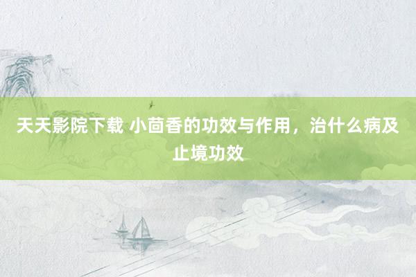 天天影院下载 小茴香的功效与作用，治什么病及止境功效