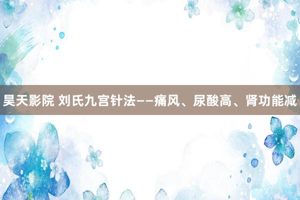昊天影院 刘氏九宫针法——痛风、尿酸高、肾功能减