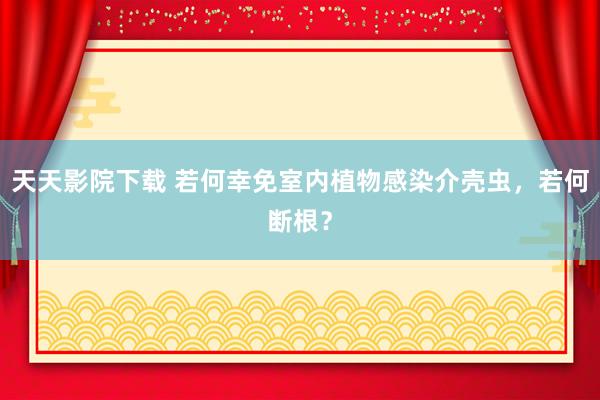 天天影院下载 若何幸免室内植物感染介壳虫，若何断根？